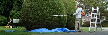 Comment entretenir mon parc à Bègles ? Comment entretenir mon parc à Bègles ?