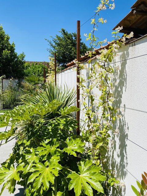 Aménagement d'un jardin paysager à Begles