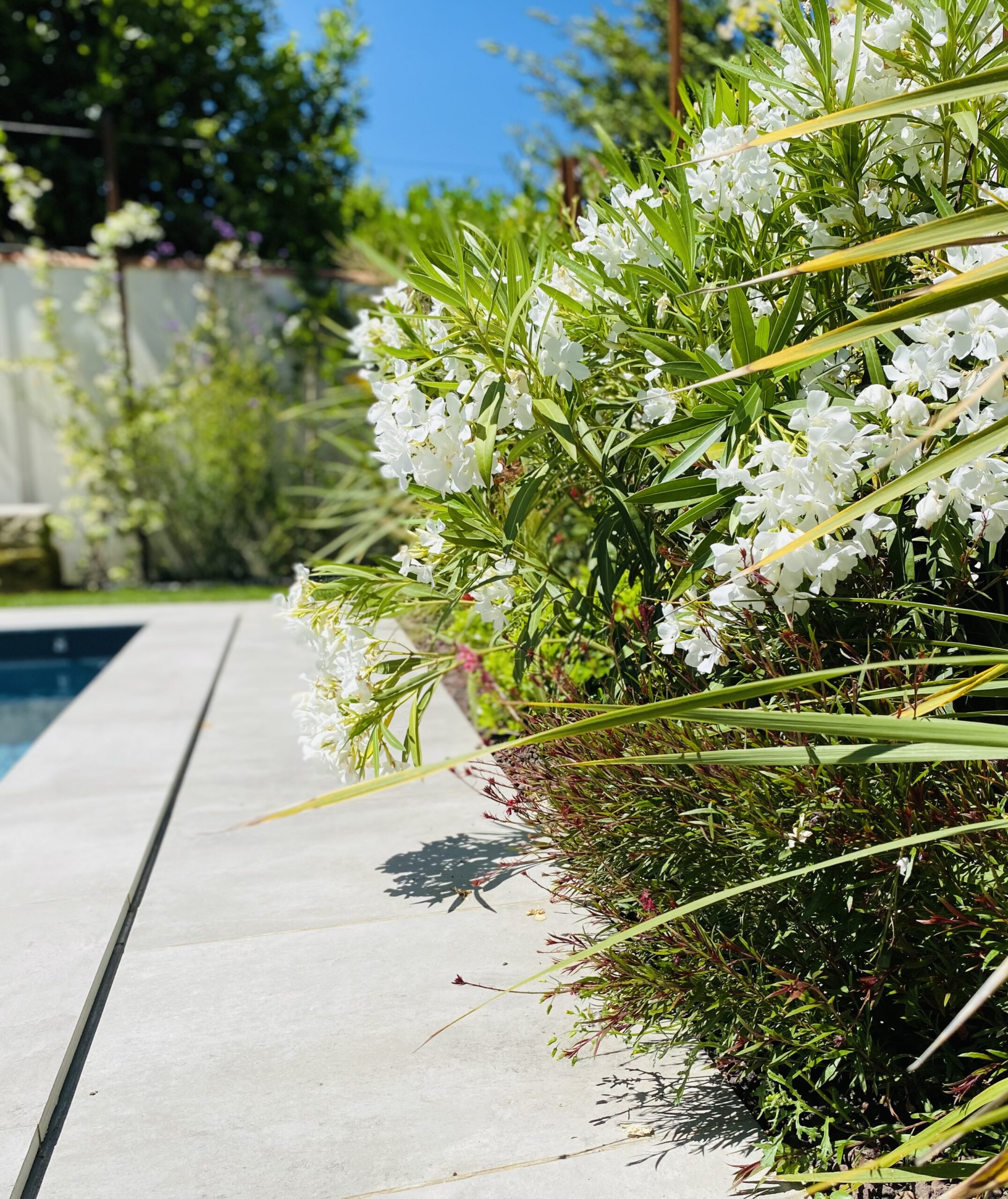 Aménagement d&rsquo;un jardin paysager à Bègles
