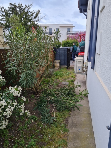 Aménagement paysager d&rsquo;un petit jardin à Le Bouscat