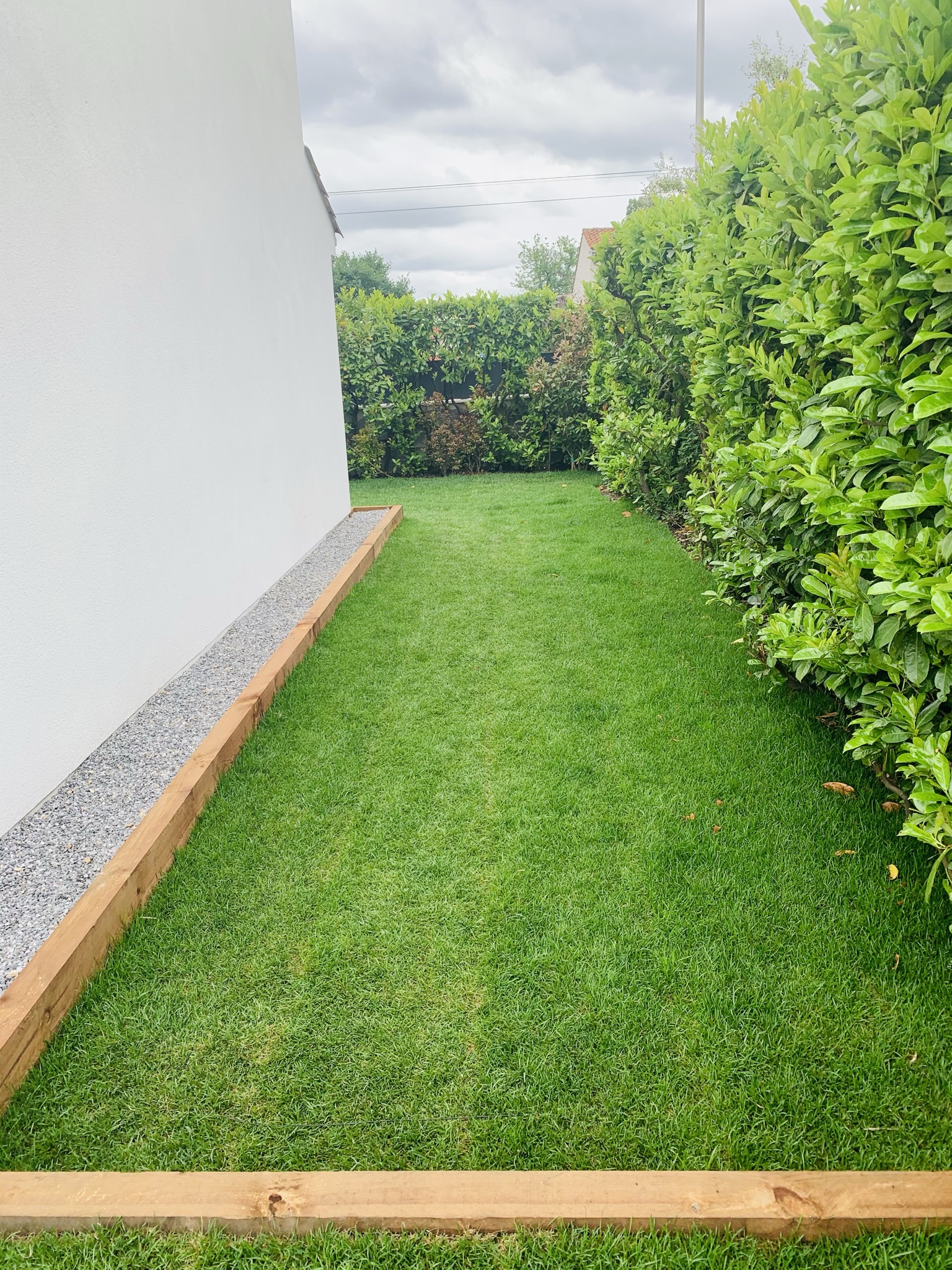 Création intégrale d&rsquo;un jardin à Pessac