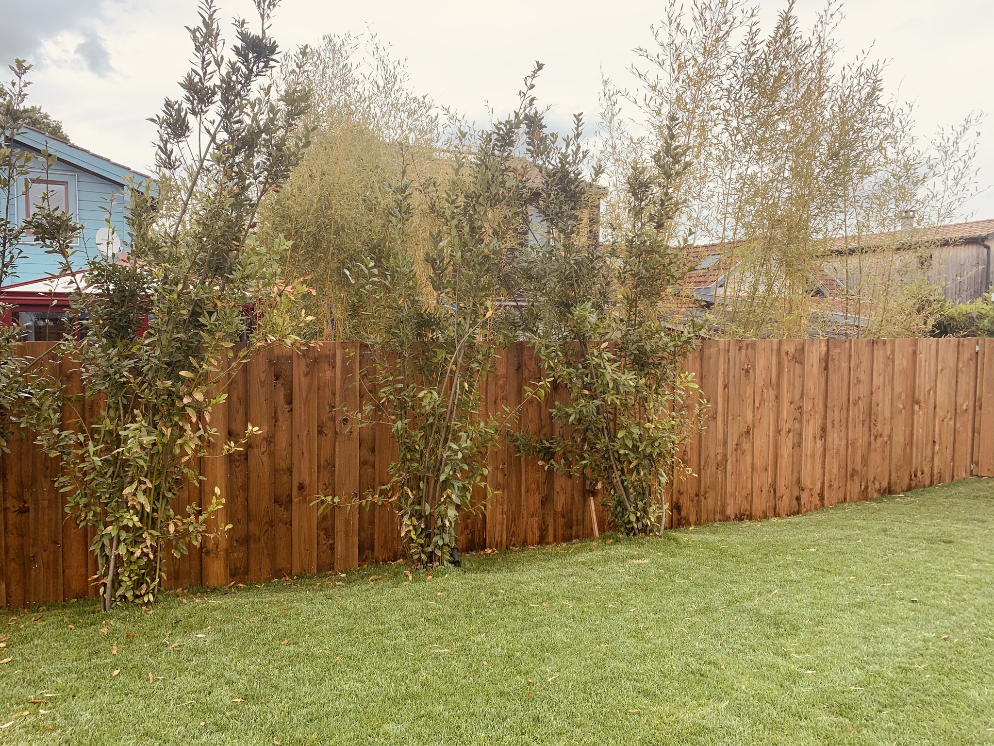 Création intégrale d&rsquo;un jardin à Pessac