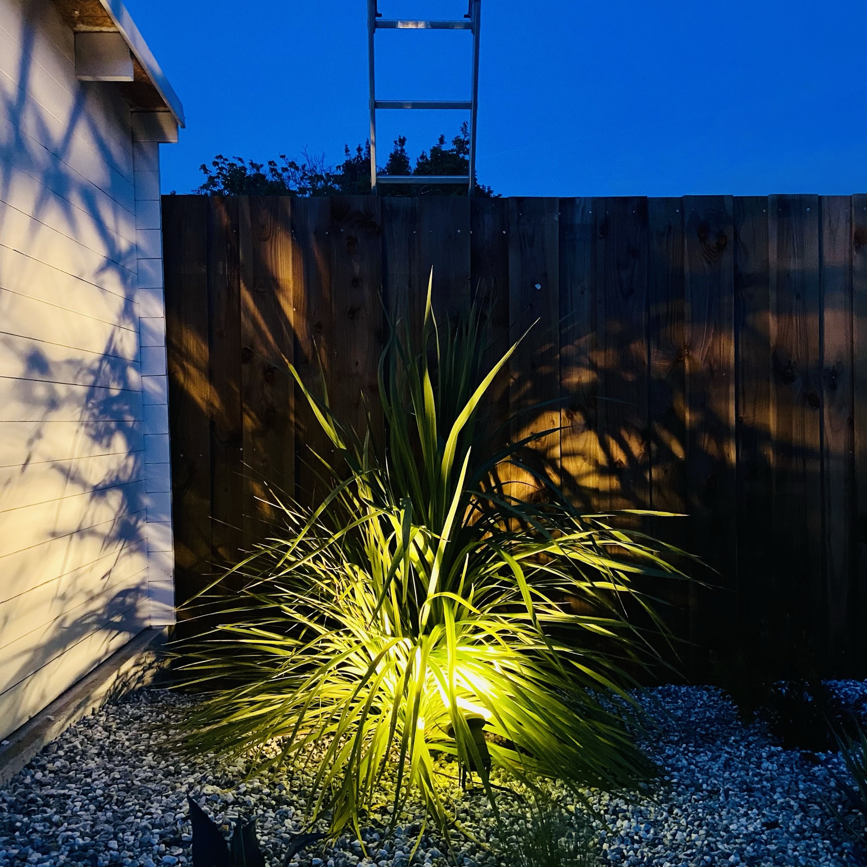 Création intégrale d&rsquo;un jardin à Pessac