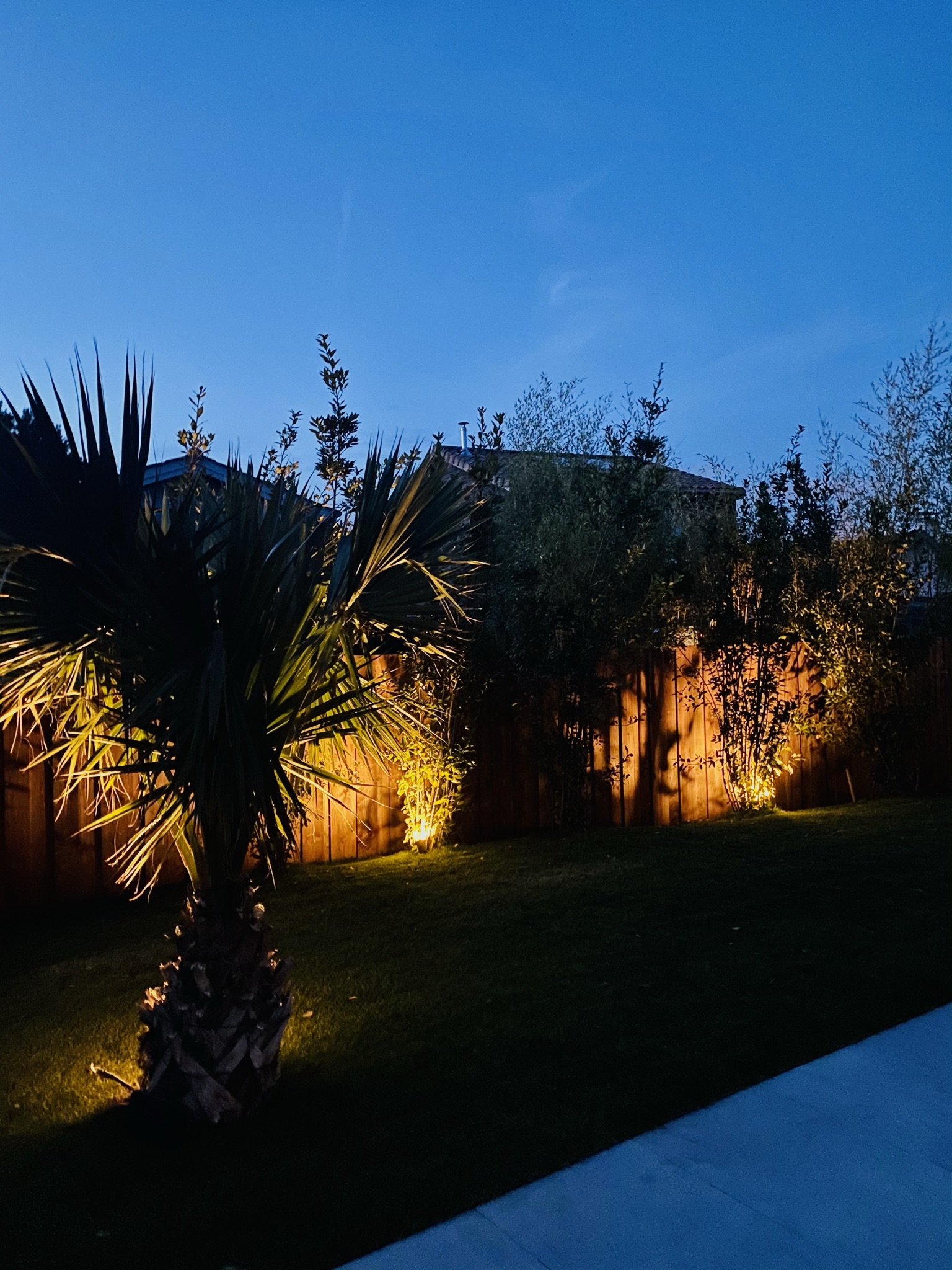 Création intégrale d&rsquo;un jardin à Pessac