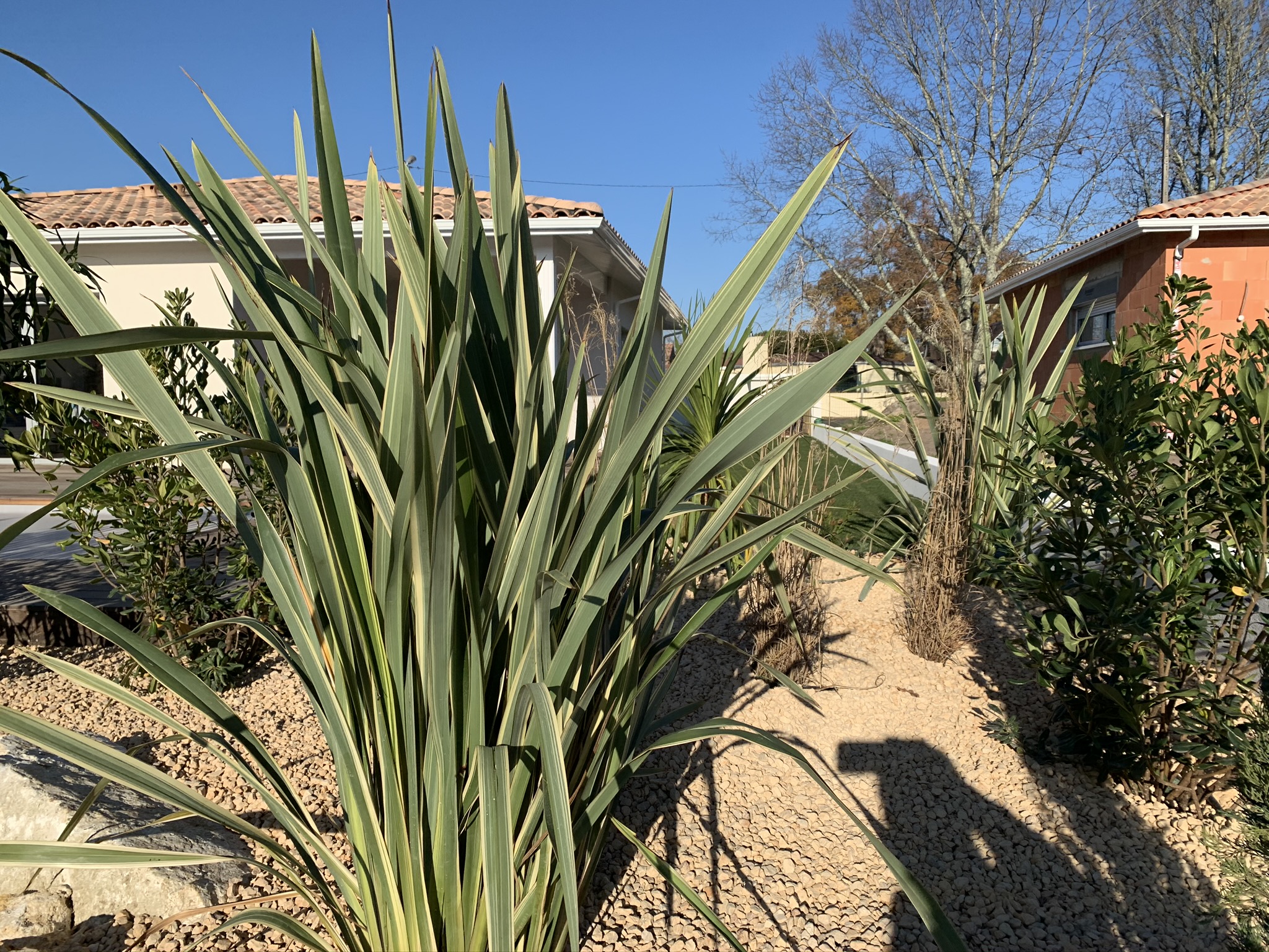 Enrochement paysager à Cestas