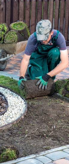 Pose gazon rouleau : L'installation facile par un paysagiste. Paysagiste en vert posant une bande de gazon en rouleau sur terre meuble. Travaux d'aménagement paysager près d'une bordure de jardin.