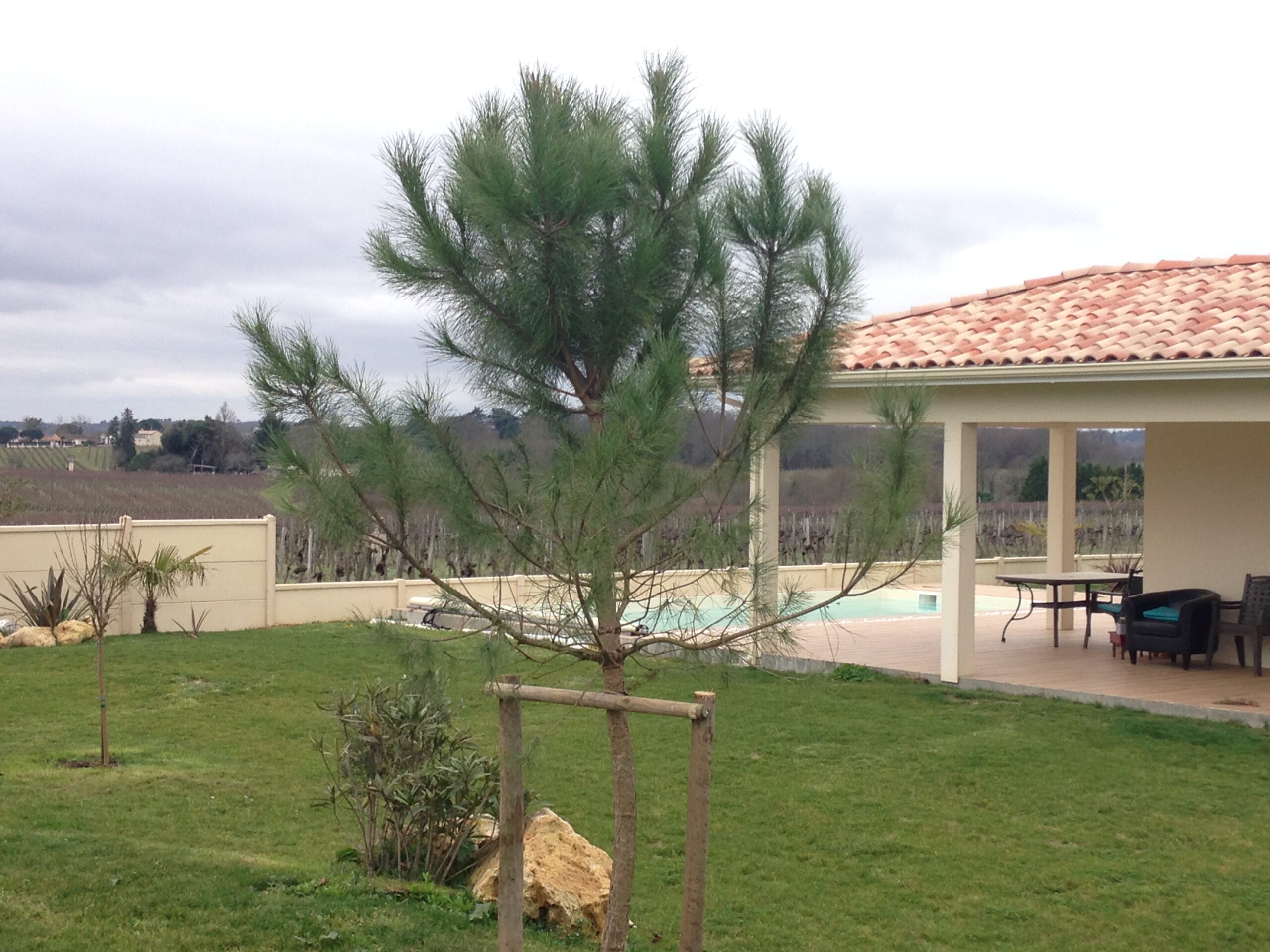 Pose de clôture en béton à Léognan
