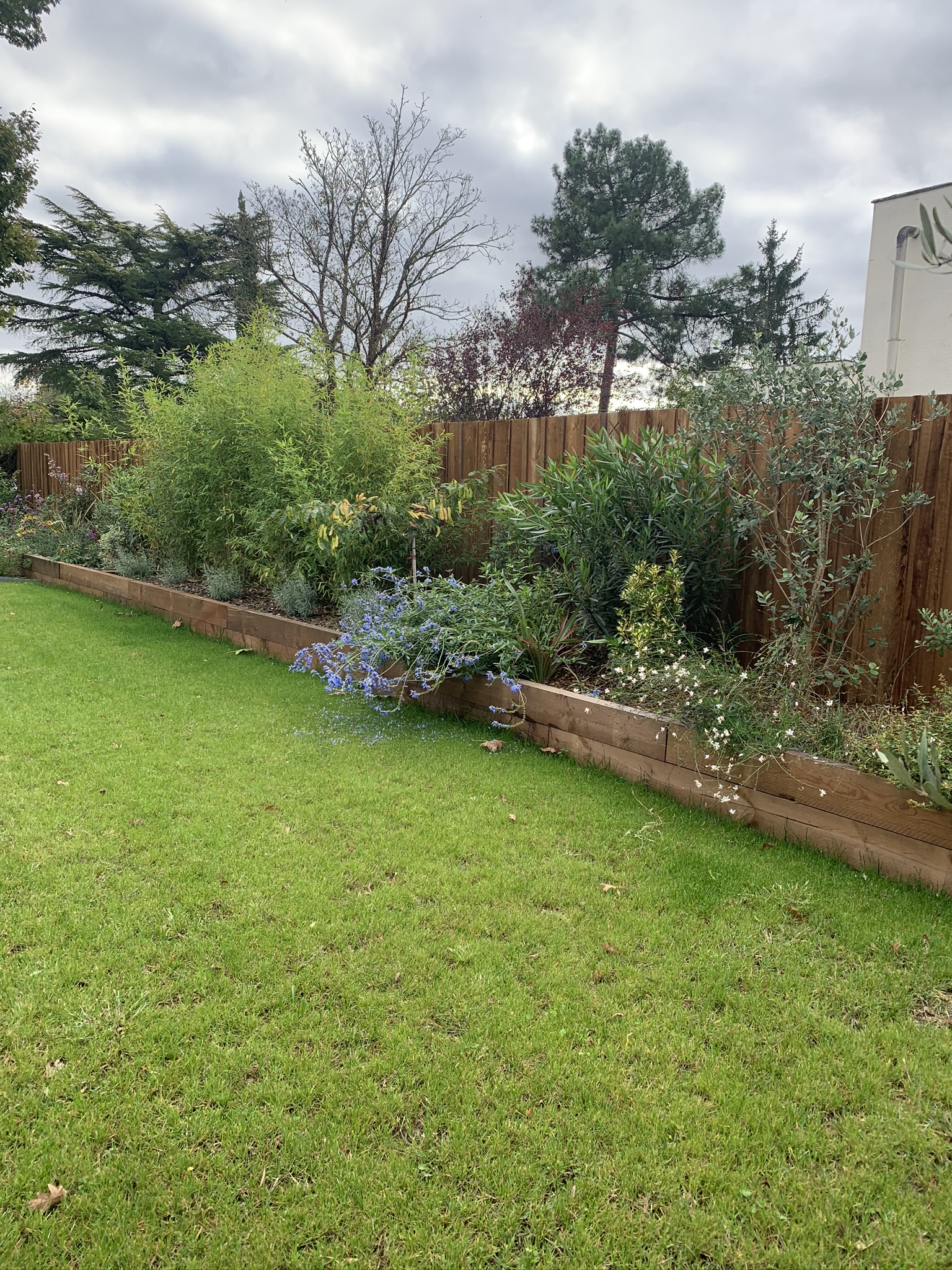 Réalisation de massif à Pessac